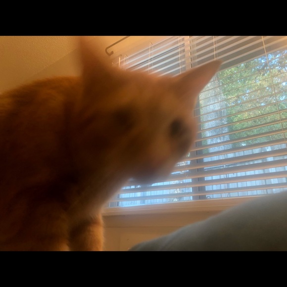 ✨ - Picture 1 of 1